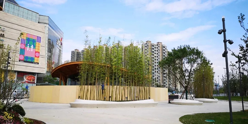 悠竹山谷街區內竹林小景