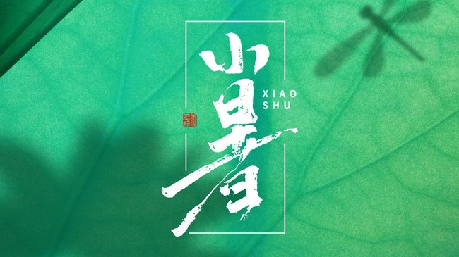 三伏將至，避暑預警！